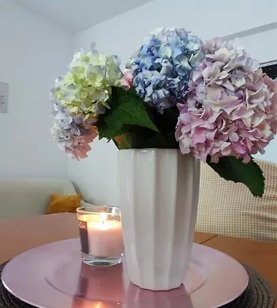 Mirijana Apartmán Pula