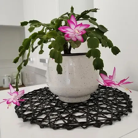 Lägenhet Mirijana *