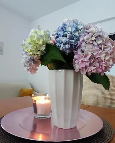 Mirijana Appartement Pula