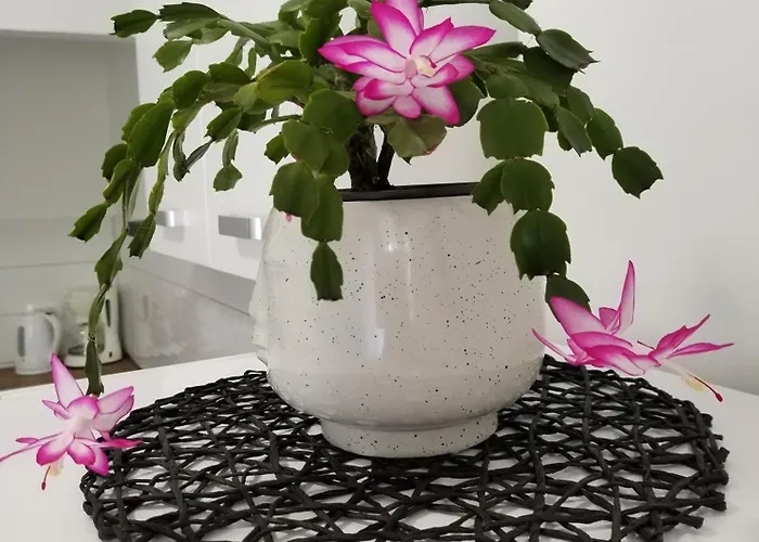 Appartement Mirijana *