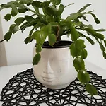 Mirijana