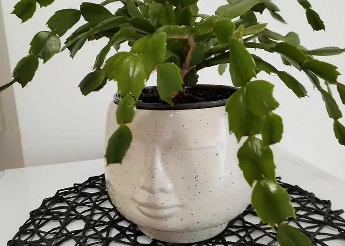 Mirijana