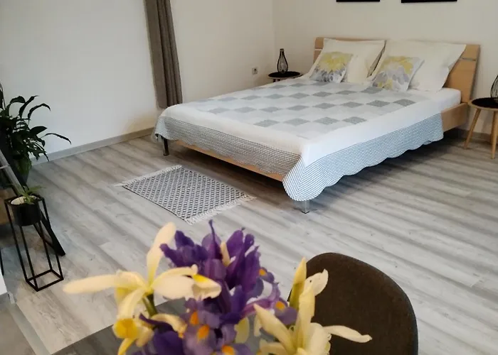Mirijana Apartment Pula